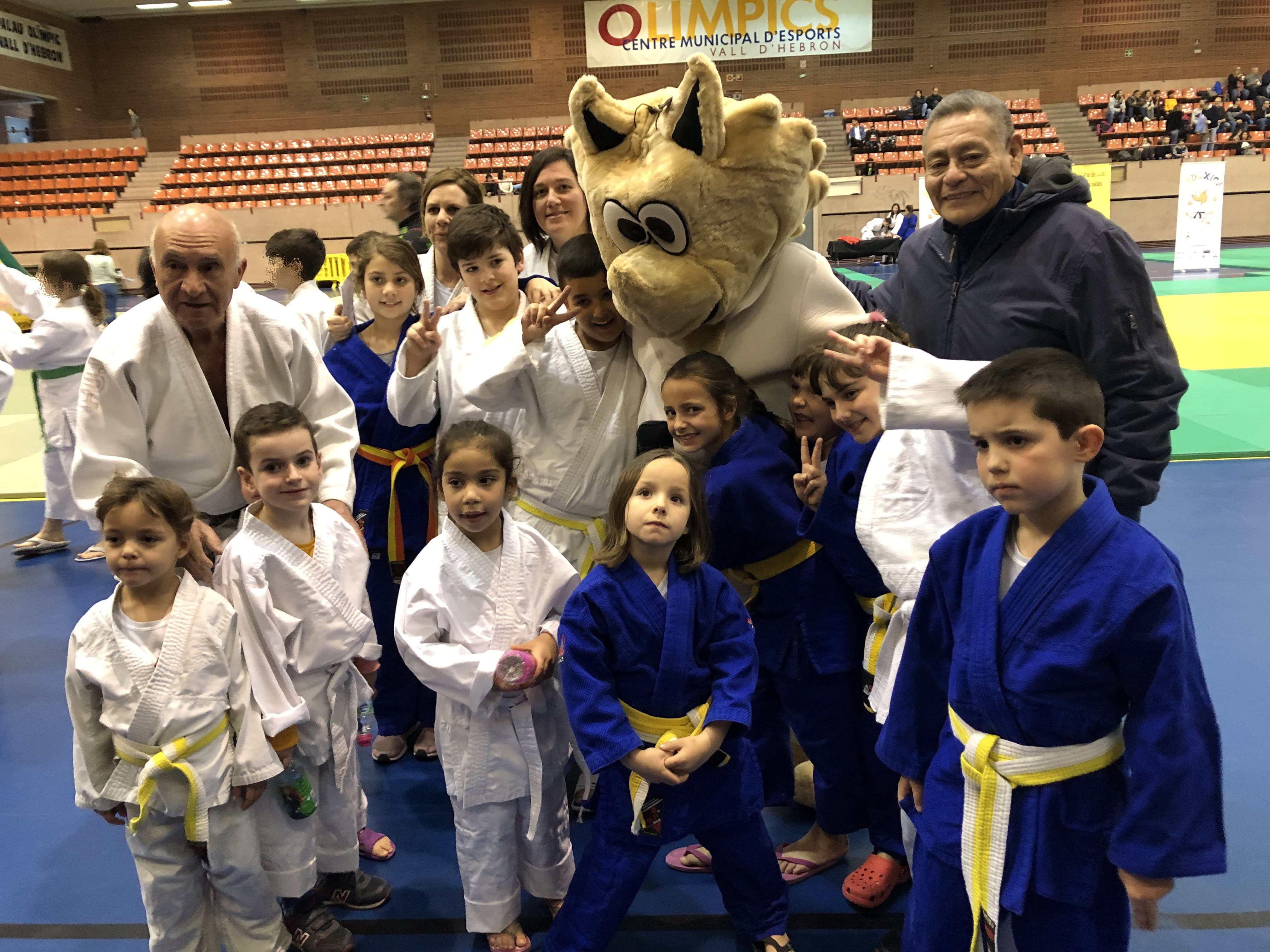 Judoxics Febrero 2019